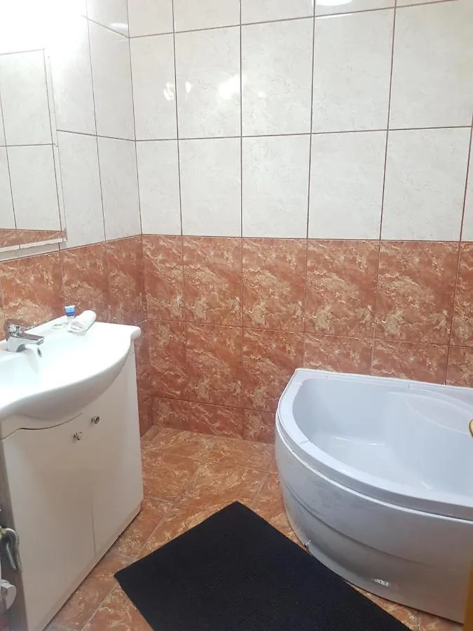 Apartment Studio Avrig Hotel Bucharest